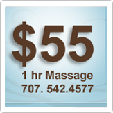 $55 1 hour Massage Santa Rosa ca